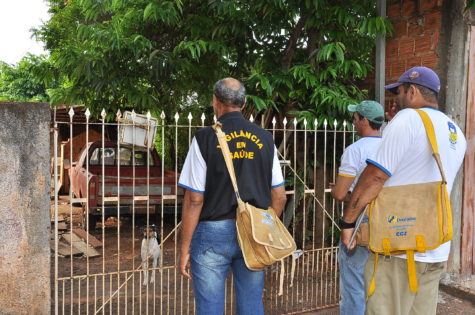Apesar da redução de notificações de casos suspeitos de dengue, a Prefeitura mantém foco nos mutirões e vistoria nos imóveis