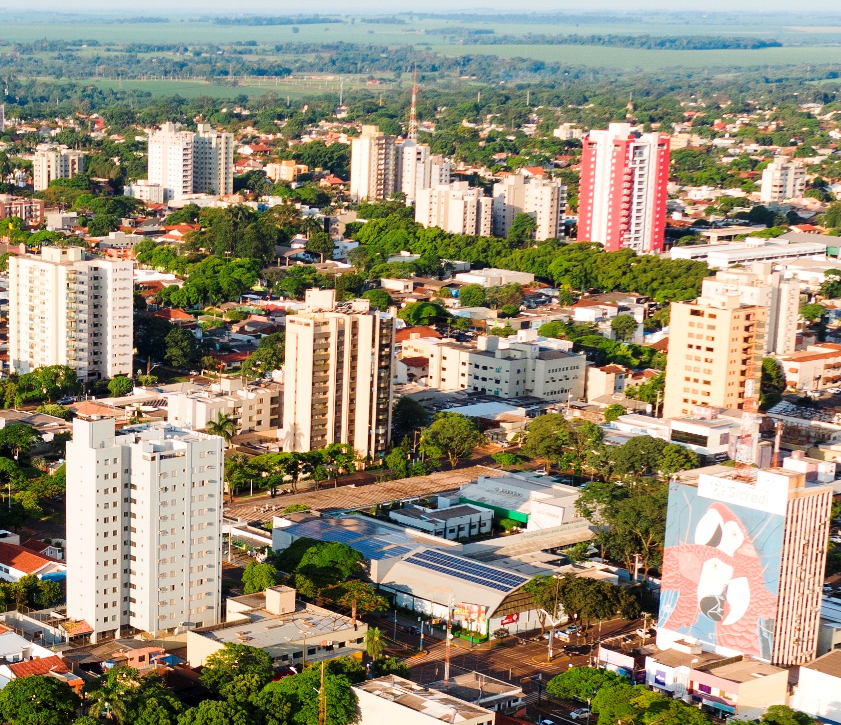 Foto – Marcos Pierry Dourados liderou com folga a geração de empregos com carteira assinada em 2019, segundo revela o Caged